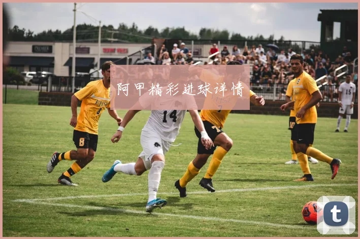 阿甲精彩进球详情