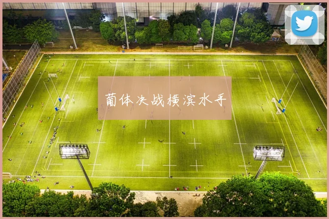 开云Kaiyun体育app注册登录 - 葡体决战横滨水手