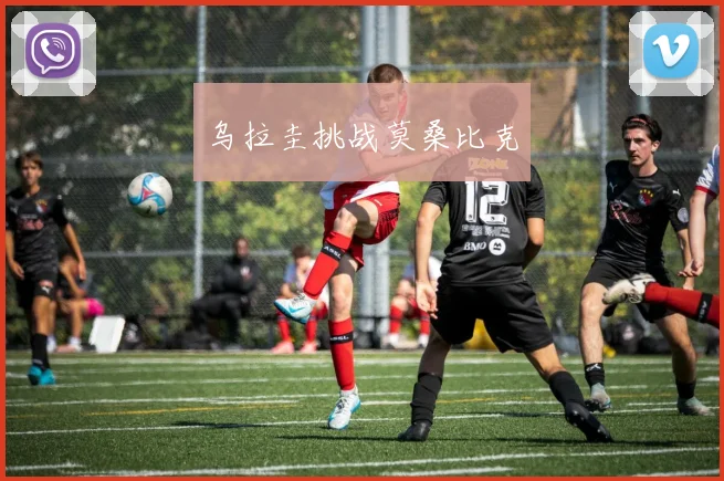 开云Kaiyun体育app注册登录 - 乌拉圭挑战莫桑比克