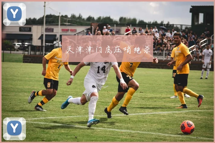 开云Kaiyun体育app注册登录 - 天津津门虎压哨绝杀