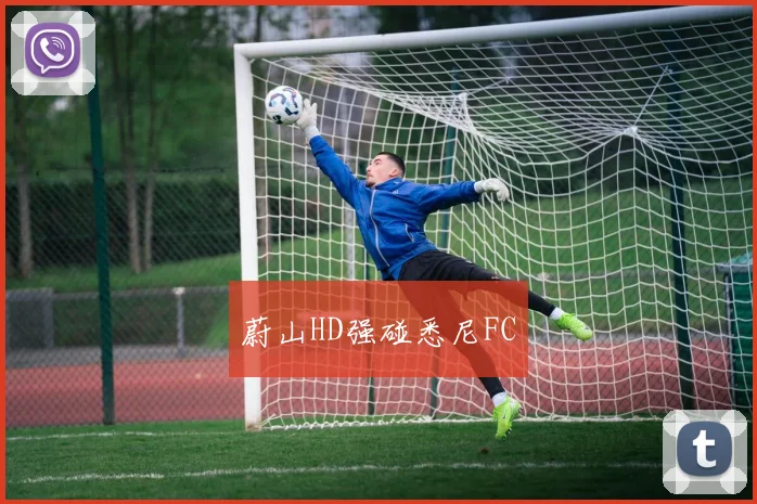 开云Kaiyun体育app注册登录 - 蔚山HD强碰悉尼FC