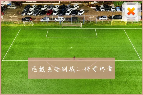 开云Kaiyun体育app注册登录 - 范戴克告别战：传奇终章