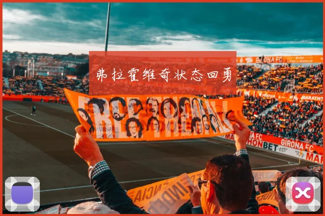 开云Kaiyun体育app注册登录 - 弗拉霍维奇状态回勇