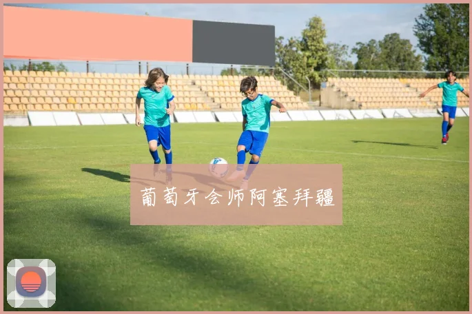 开云Kaiyun体育app注册登录 - 葡萄牙会师阿塞拜疆