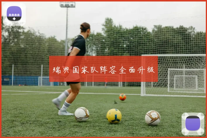 开云Kaiyun体育app注册登录 - 瑞典国家队阵容全面升级