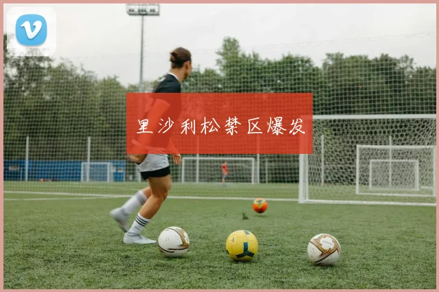 开云Kaiyun体育app注册登录 - 里沙利松禁区爆发