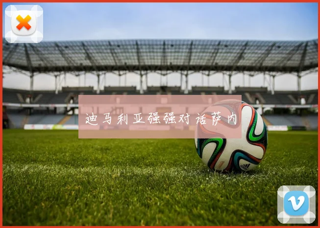 开云Kaiyun体育app注册登录 - 迪马利亚强强对话萨内