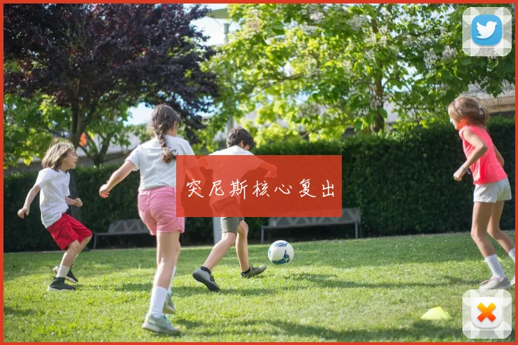 开云Kaiyun体育app注册登录 - 突尼斯核心复出