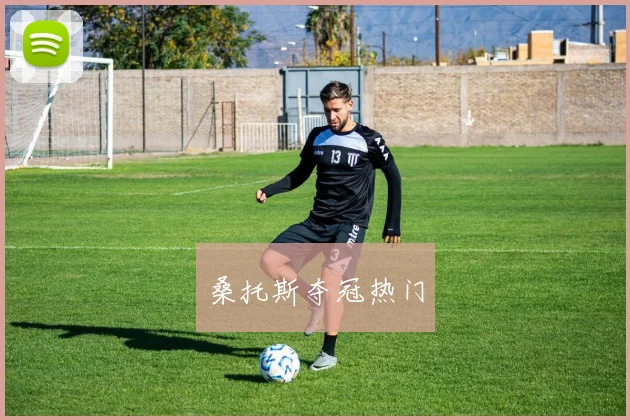 开云Kaiyun体育app注册登录 - 桑托斯夺冠热门