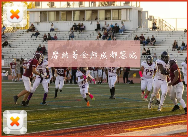 开云Kaiyun体育app注册登录 - 摩纳哥会师成都蓉城