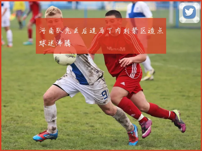 河南队先丢后追马丁内利禁区造点球迷沸腾