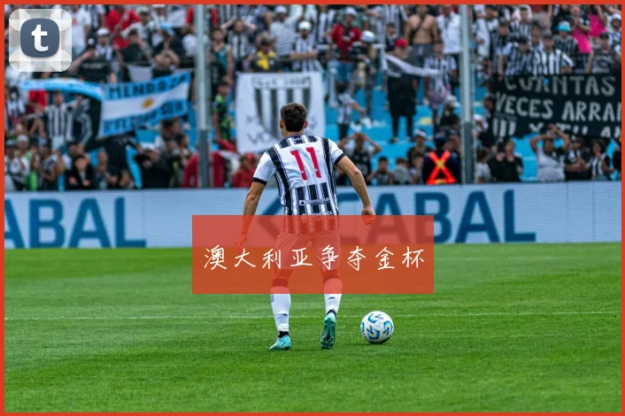 开云Kaiyun体育app注册登录 - 澳大利亚争夺金杯