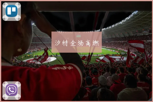 开云Kaiyun体育app注册登录 - 沙特全场高燃