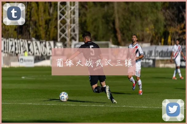 开云Kaiyun体育app注册登录 - 葡体大战武汉三镇