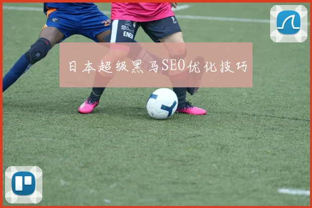 开云Kaiyun体育app注册登录 - 日本超级黑马SEO优化技巧