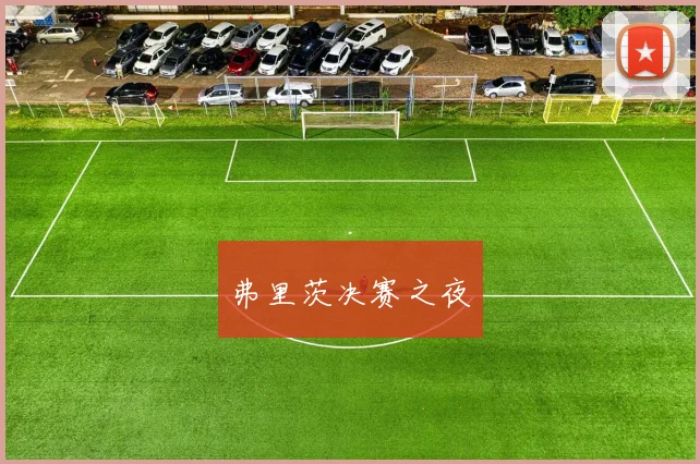 开云Kaiyun体育app注册登录 - 弗里茨决赛之夜