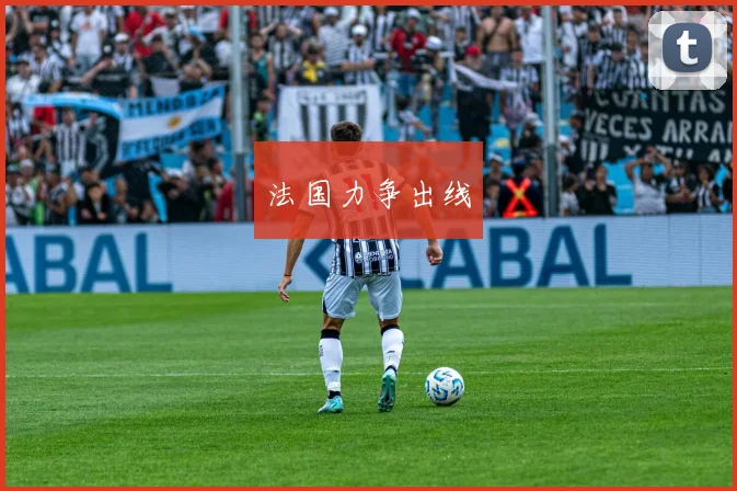 开云Kaiyun体育app注册登录 - 法国力争出线