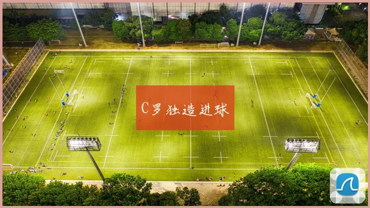 开云Kaiyun体育app注册登录 - C罗独造进球