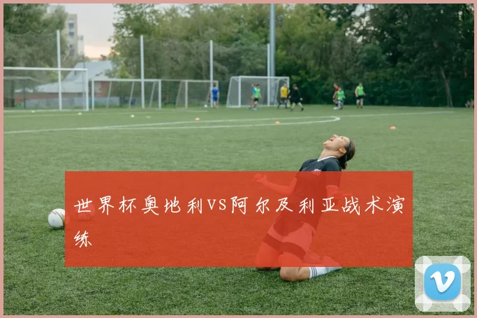 世界杯奥地利vs阿尔及利亚战术演练