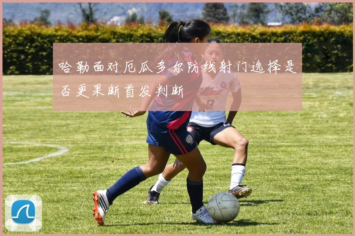哈勒面对厄瓜多尔防线射门选择是否更果断首发判断